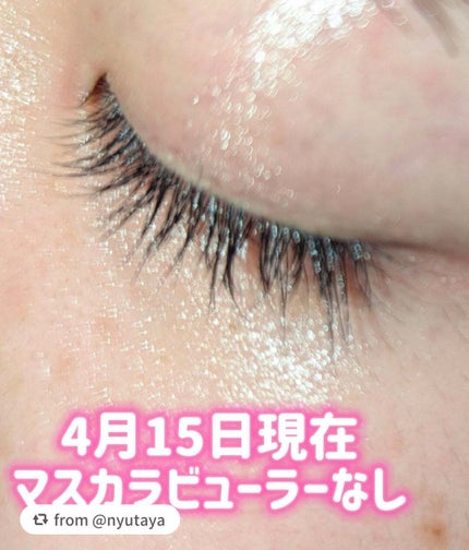 EMAKED(エマーキット)/水橋保寿堂製薬/まつげ美容液を使ったクチコミ(3枚目)