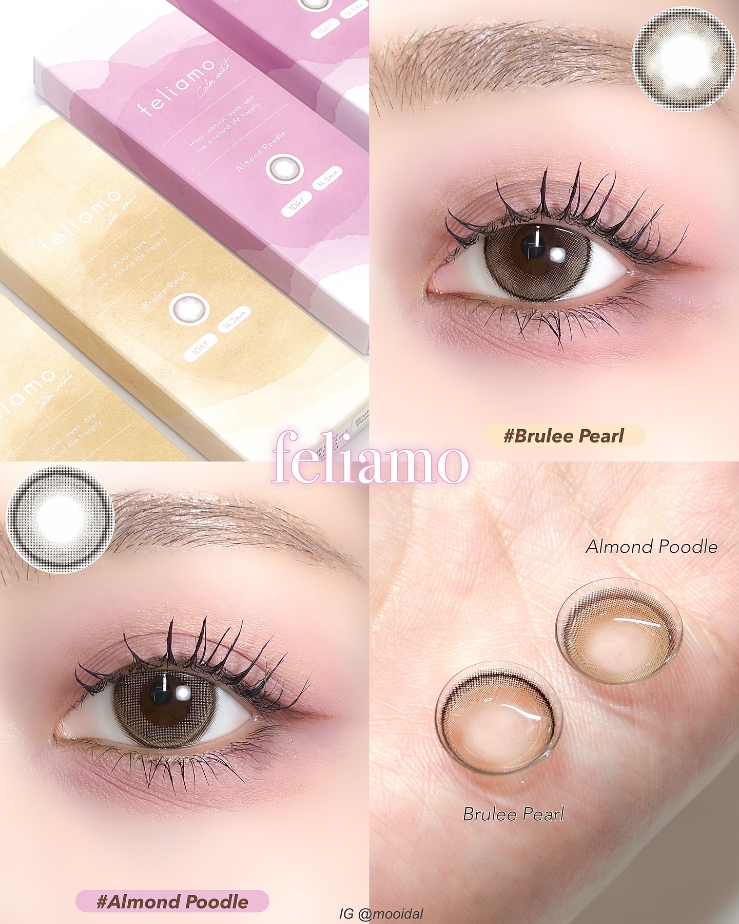 feliamo 1day/feliamo/ワンデー（１DAY）カラコンを使ったクチコミ（1枚目）