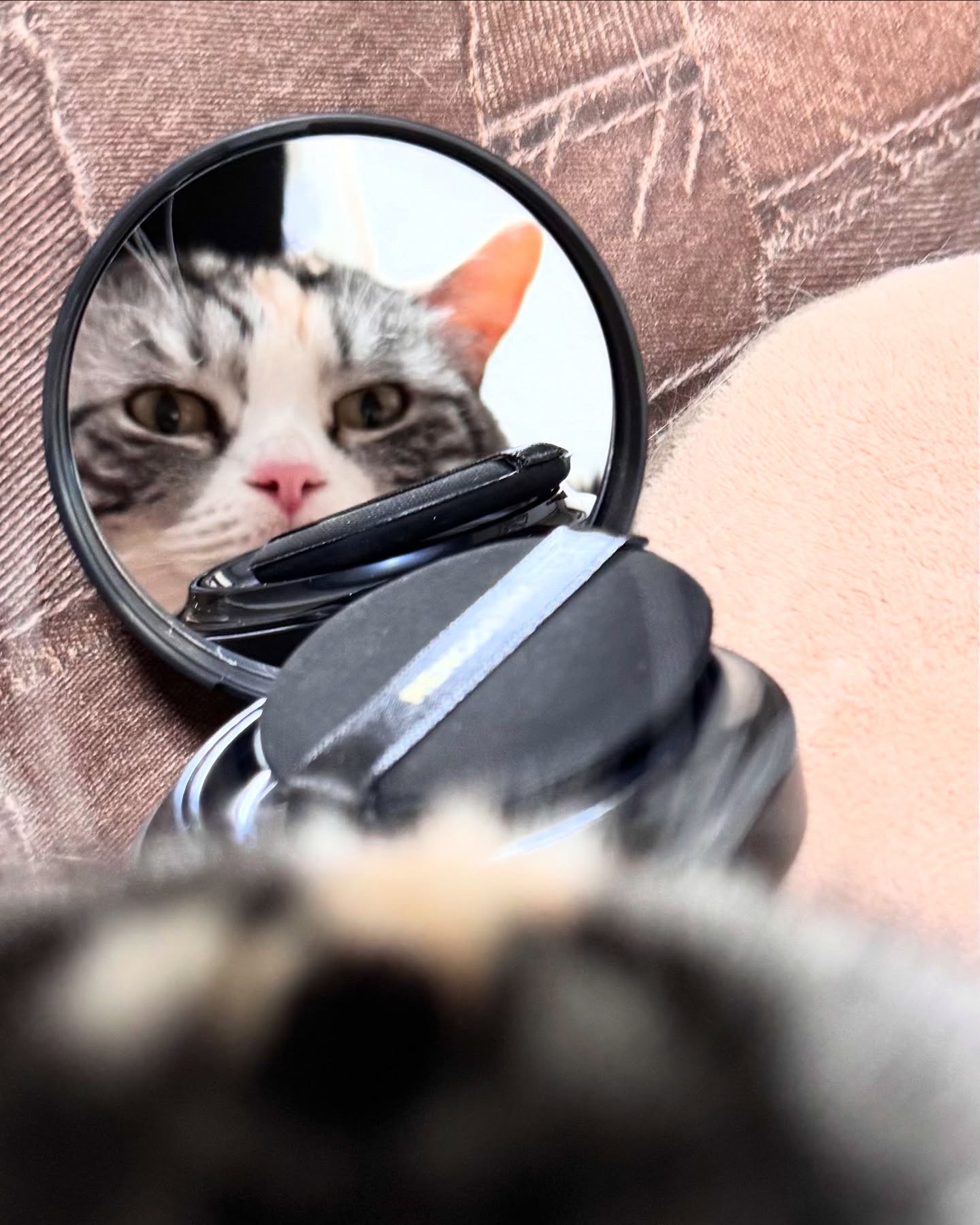 RENODERM(レノドーム) 
@renoderm_jp さまのデイロングBBクリームクッションファンデをお試しさせていただきました。韓国で話題のオイルではないリアルな水光肌に✨✨
⚫️
黒い方はしっとりデイロングBBクリームグロウ
全肌