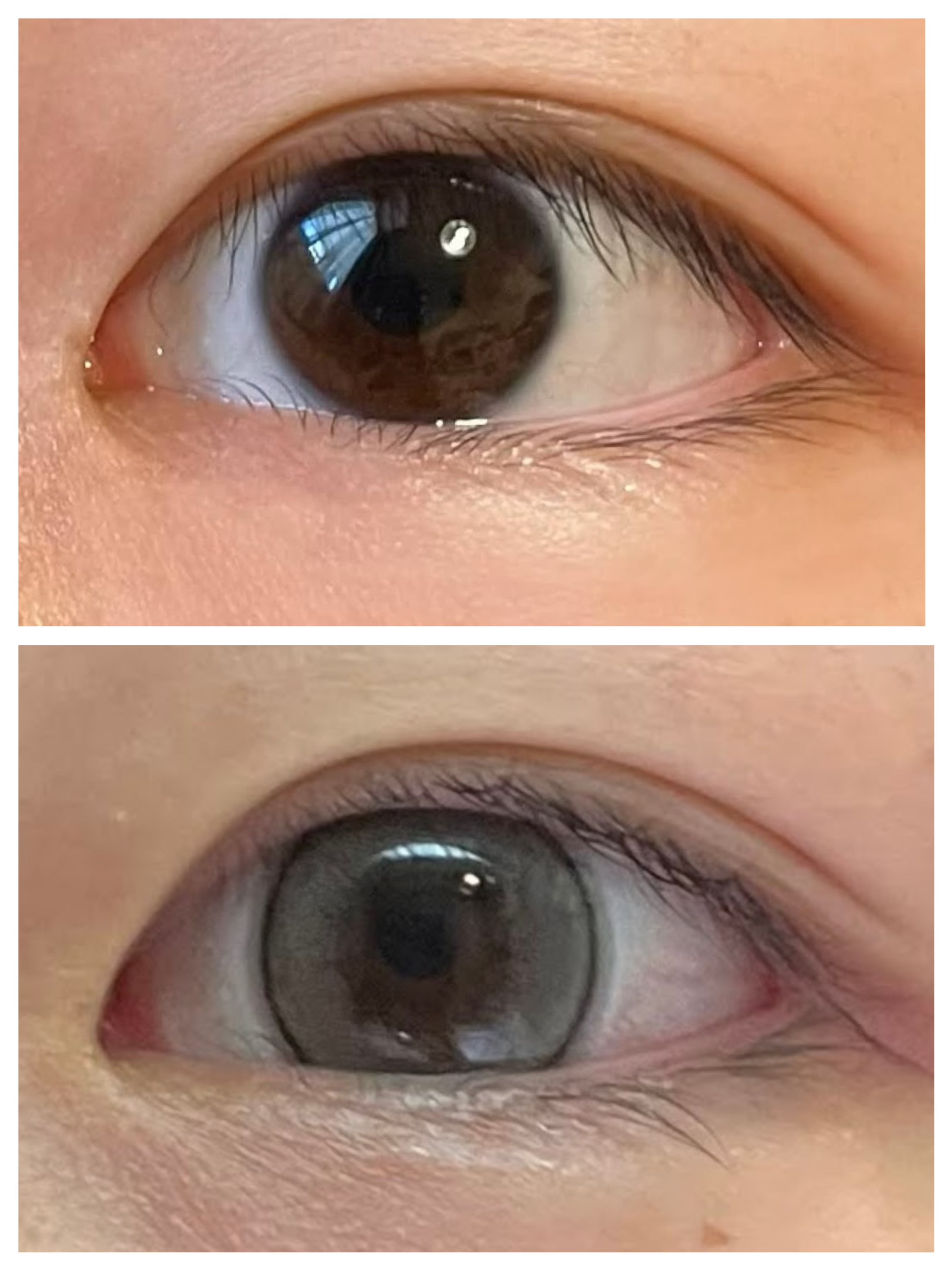 エバーカラーワンデー ナチュラル パールスノーグレー/エバーカラー/ワンデー（１DAY）カラコンを使ったクチコミ（2枚目）