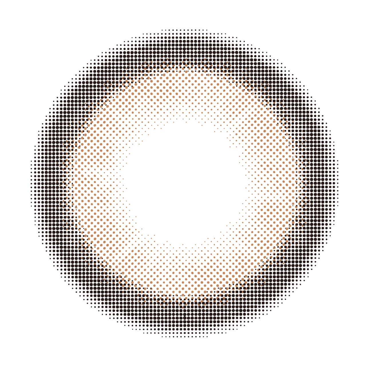 MOLAK 1month ブラウンバニー/MOLAK/１ヶ月（１MONTH）カラコンを使ったクチコミ（1枚目）