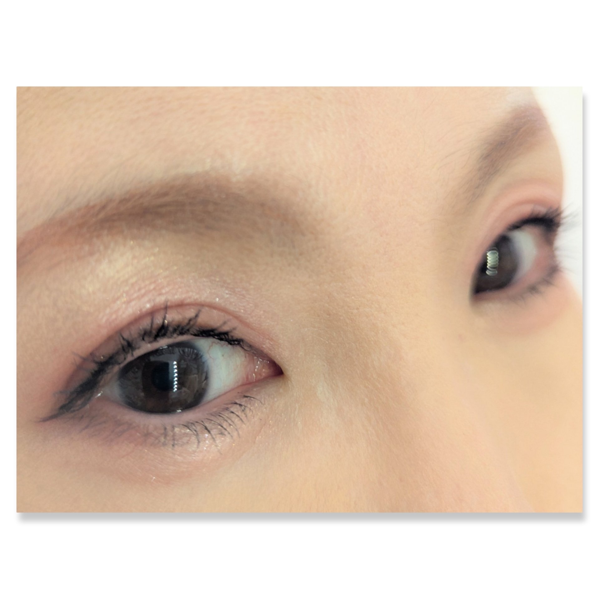 フォーチュン　ドーリーフィール　アイカラー/フォーチュン/アイシャドウパレットを使ったクチコミ（2枚目）