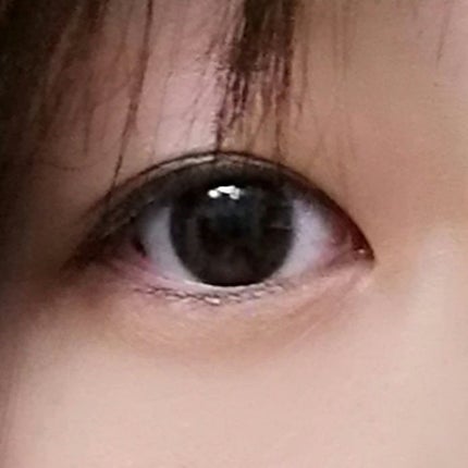 ディオールショウ モノ クルール 481 ポンチョ/Dior/アイシャドウの画像