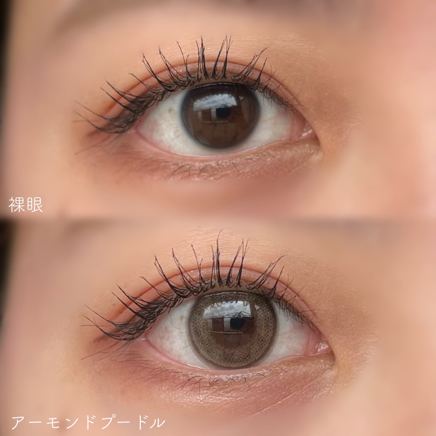 feliamo 1day/feliamo/ワンデー(1DAY)カラコンを使ったクチコミ(3枚目)