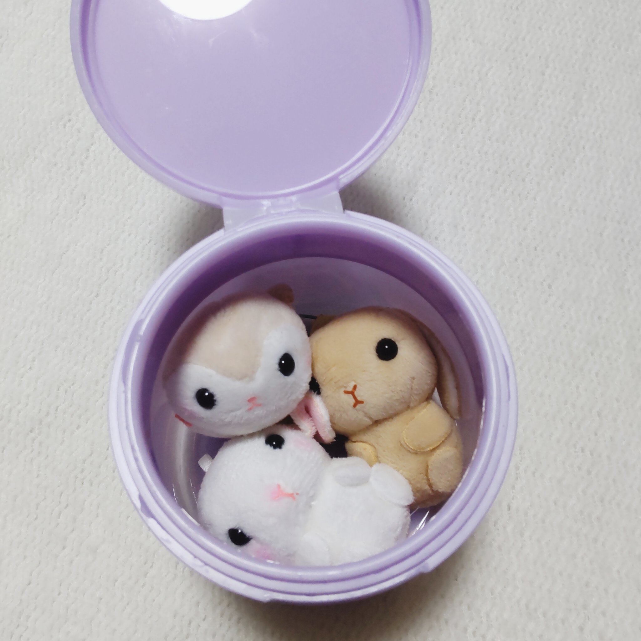 SALADY PAD 70EA/DEWYCEL/拭き取り化粧水を使ったクチコミ（2枚目）