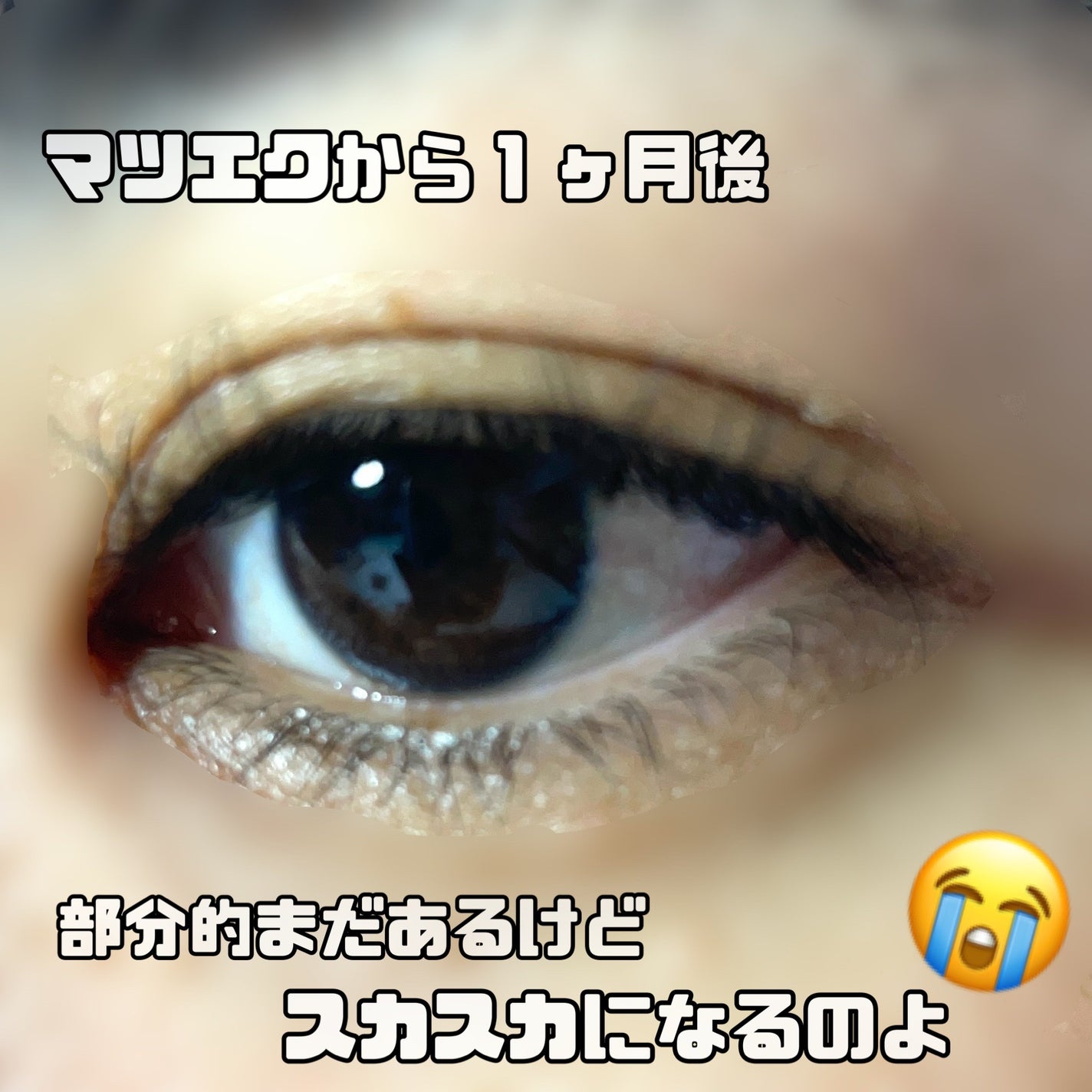 1秒まつエク/Miss eye d'or/つけまつげを使ったクチコミ(4枚目)