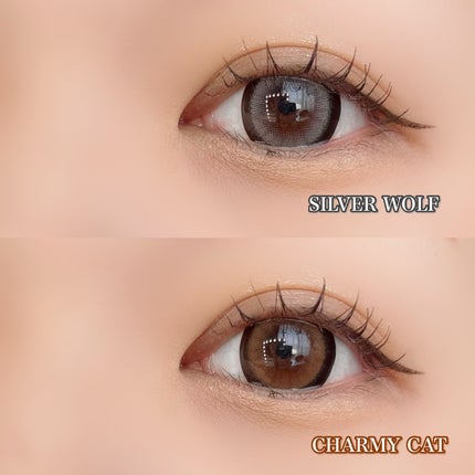 RESAY 1day/RESAY/ワンデー(1DAY)カラコンを使ったクチコミ(4枚目)