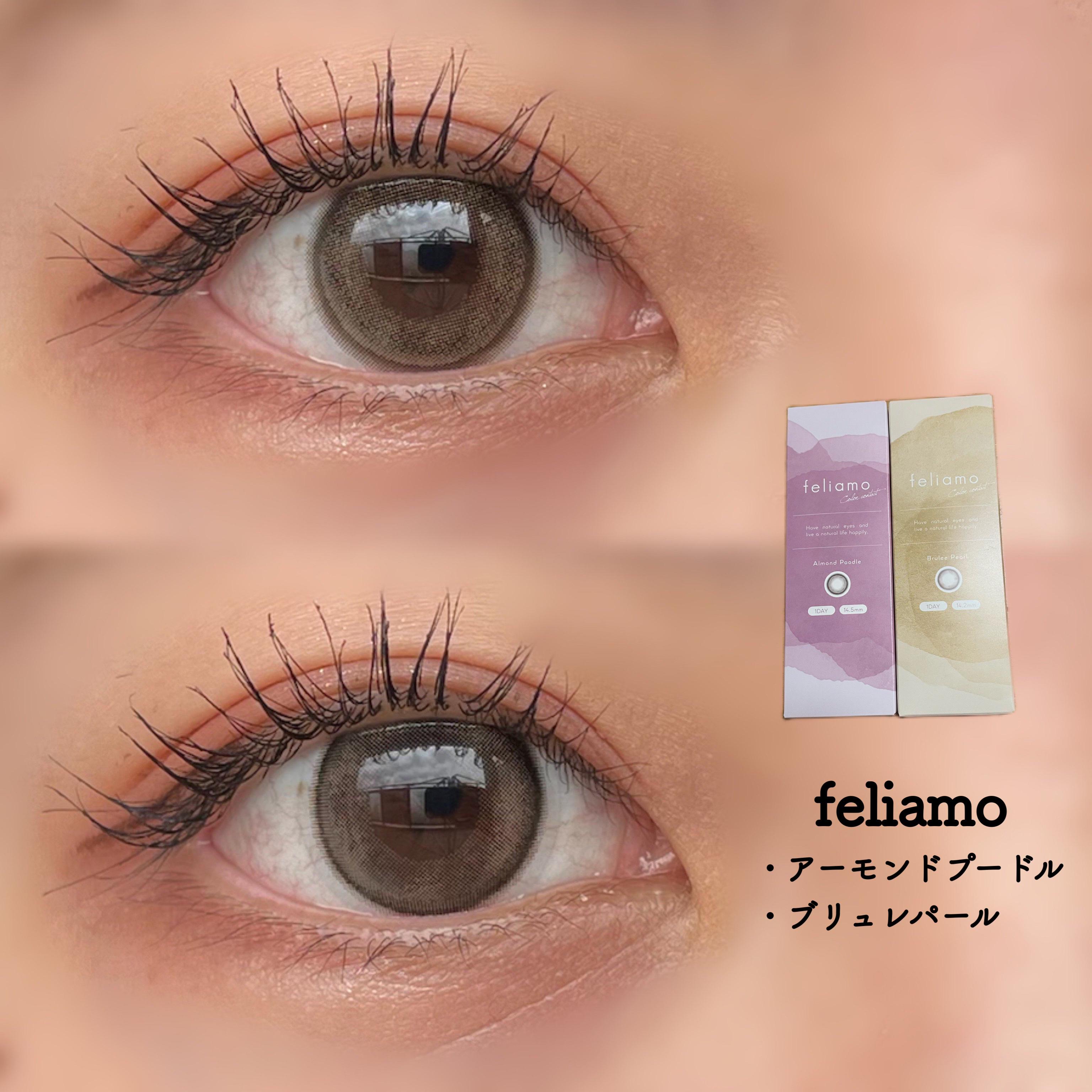 feliamo 1day/feliamo/ワンデー（１DAY）カラコンを使ったクチコミ（1枚目）