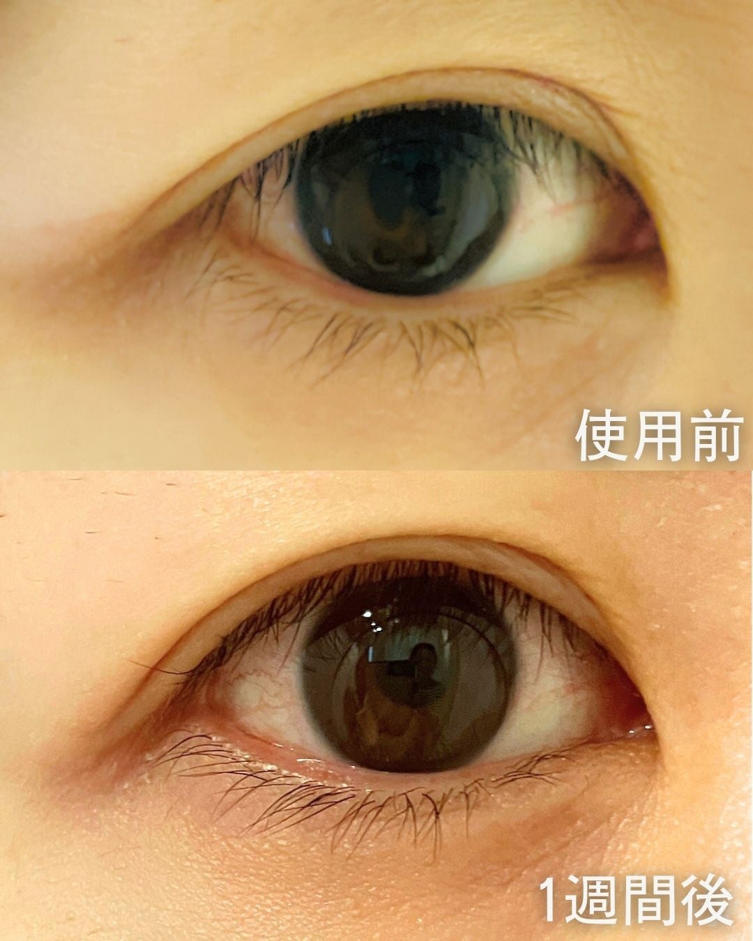 ラッシュアディクト アイラッシュ コンディショニング セラム アドバンス/soaddicted/まつげ美容液を使ったクチコミ(4枚目)