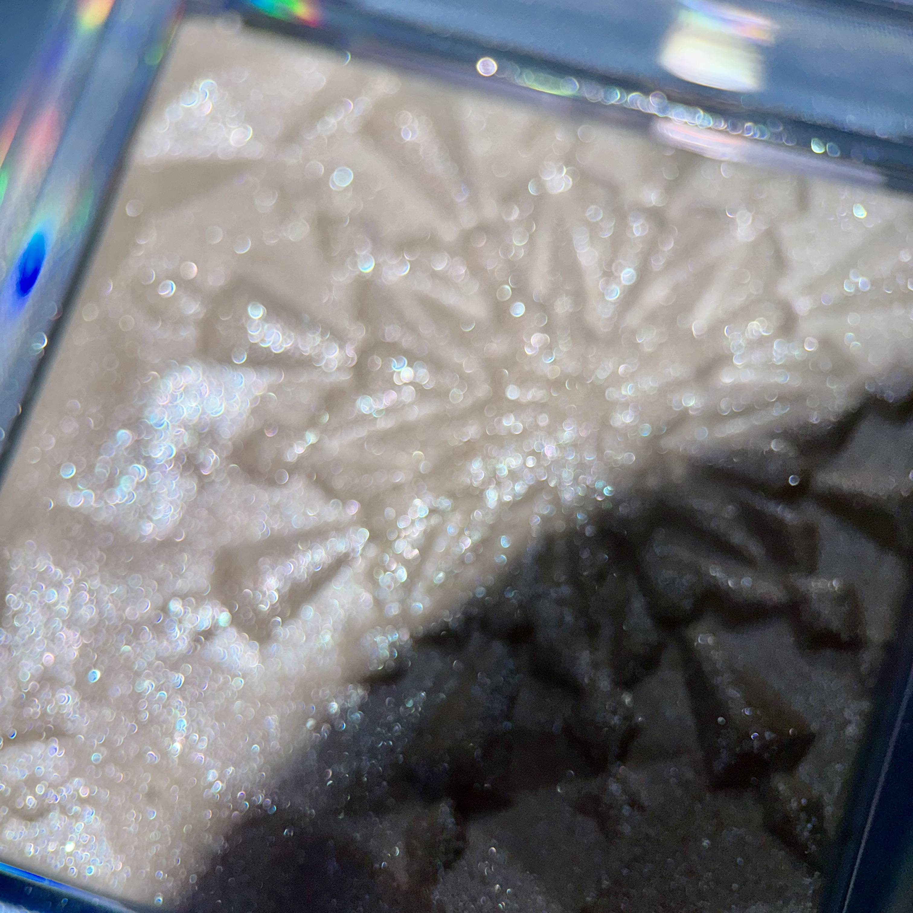 クリオ プリズム ハイライター/CLIO/パウダーハイライトを使ったクチコミ（3枚目）