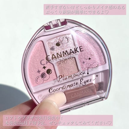 プランぷくコーデアイズ/キャンメイク/パウダーアイシャドウを使ったクチコミ(7枚目)