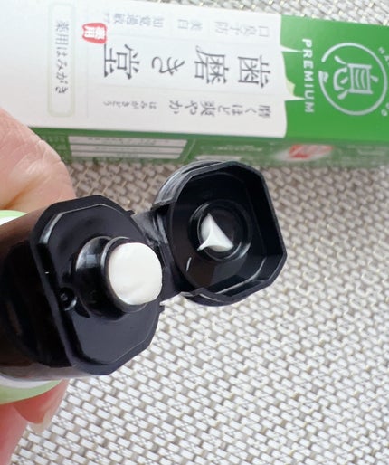 薬用フレッシュペースト【医薬部外品】/歯磨き堂/歯磨き粉を使ったクチコミ(2枚目)