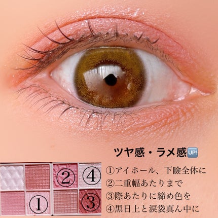 プティパレットアイズ/キャンメイク/パウダーアイシャドウを使ったクチコミ(6枚目)