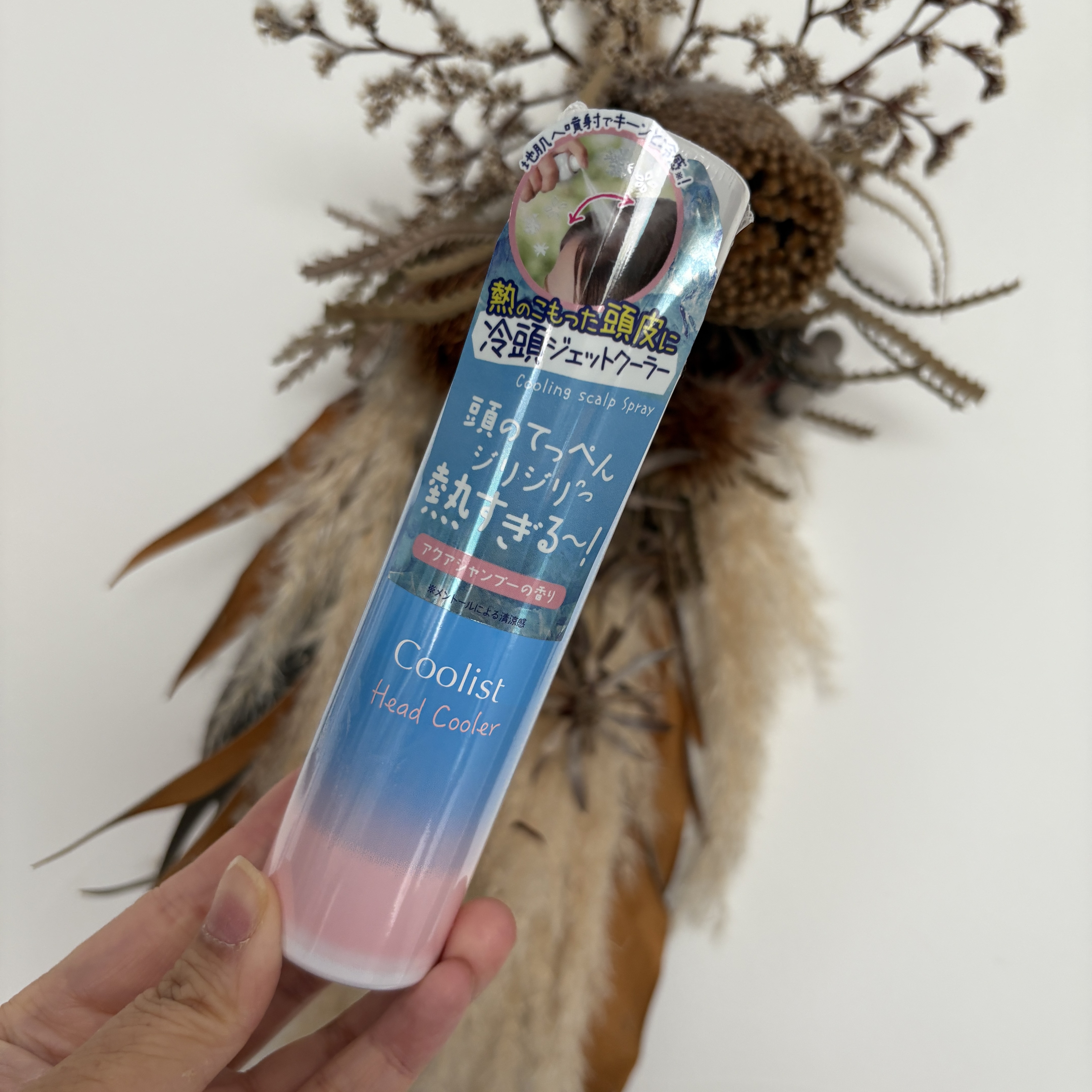クーリスト ヘッドクーラー/Coolist/デオドラント・制汗剤を使ったクチコミ（1枚目）