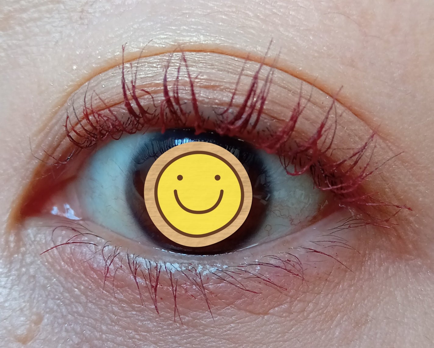 エレガンス グラヴィティレス マスカラ/Elégance/マスカラを使ったクチコミ(3枚目)