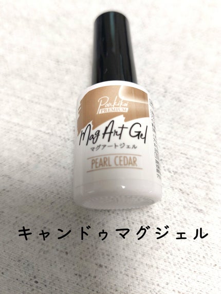 パルP マグアートジェル/parkikoi/ジェルネイルを使ったクチコミ(1枚目)
