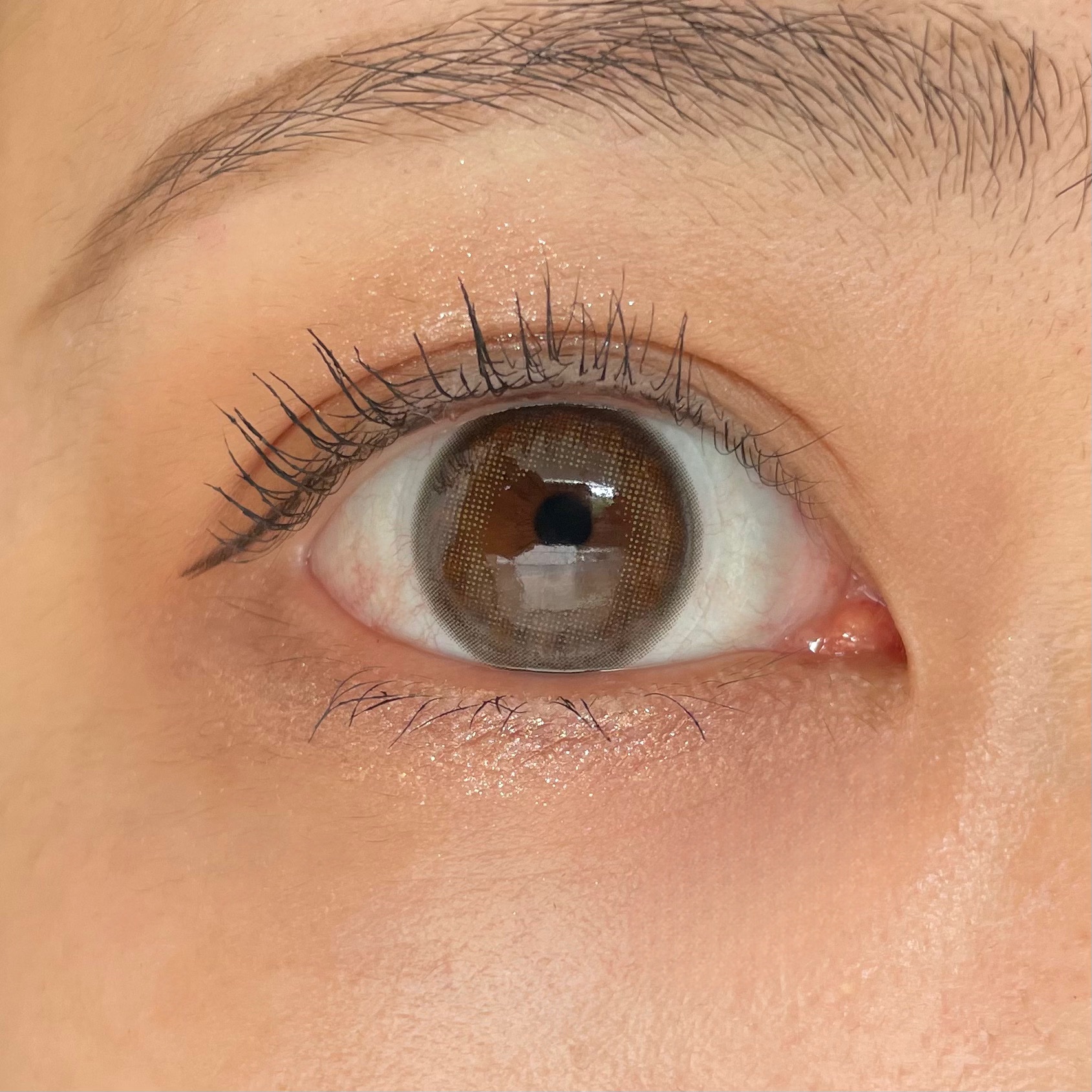 miium 1day モアクラゲ/miium/ワンデー（１DAY）カラコンを使ったクチコミ（1枚目）