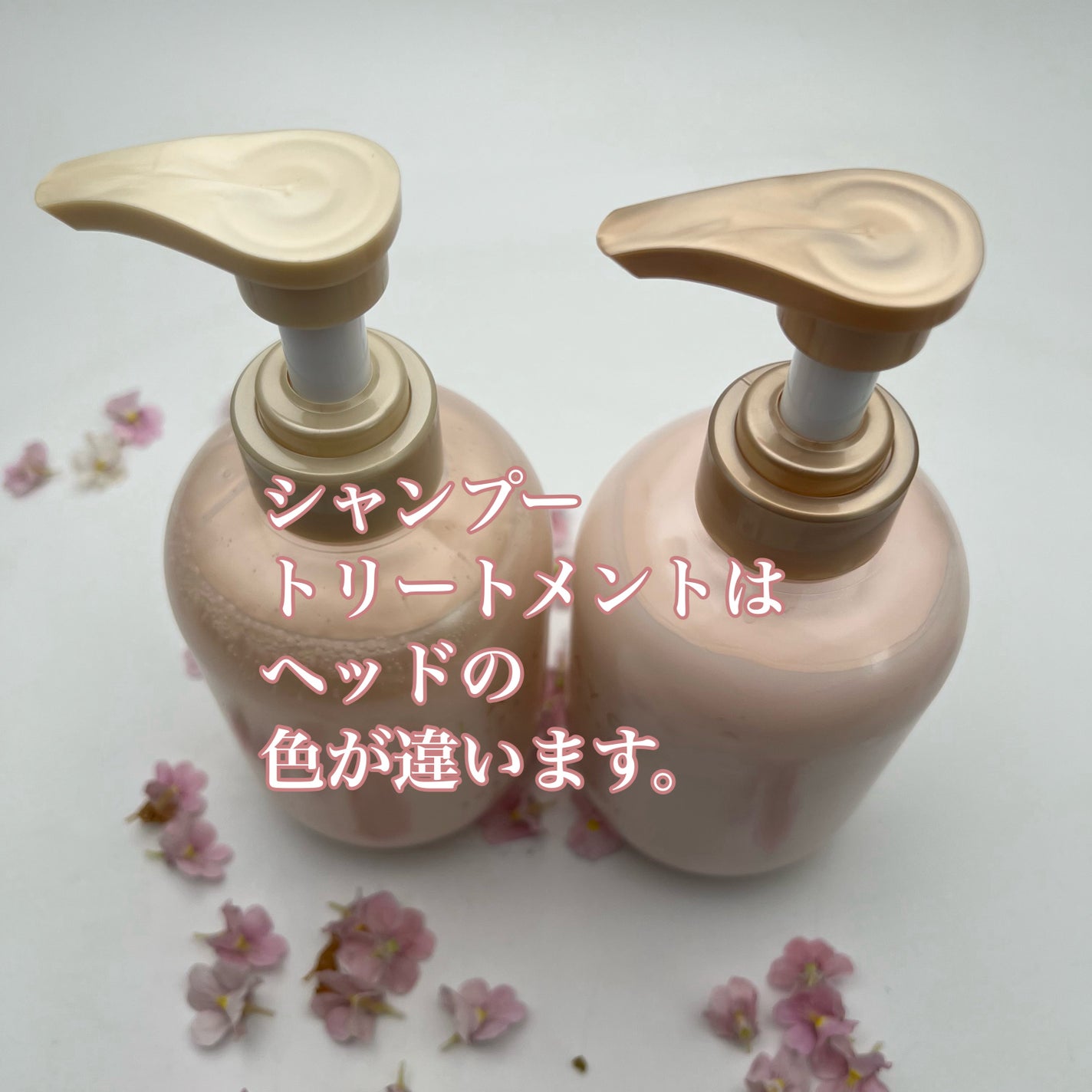 シャンプー/トリートメント パールシャイン(PS)/CLAYGE/市販シャンプーを使ったクチコミ(3枚目)