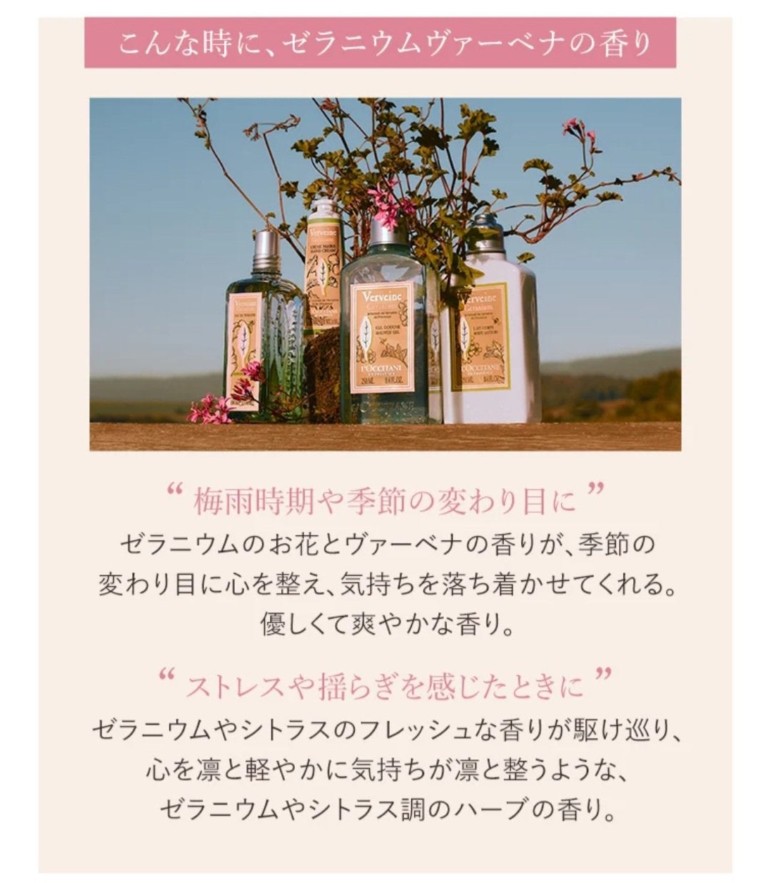 ゼラニウムヴァーベナボディーローション&ハンドクリーム/L'OCCITANE/ボディローションを使ったクチコミ(2枚目)