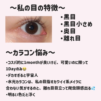 MOLAK 1month ブラウンバニー/MOLAK/1ヶ月(1MONTH)カラコンの画像