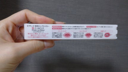 影色リップメイカー/CEZANNE/口紅・グロス・リップライナー・リップケアを使ったクチコミ(2枚目)