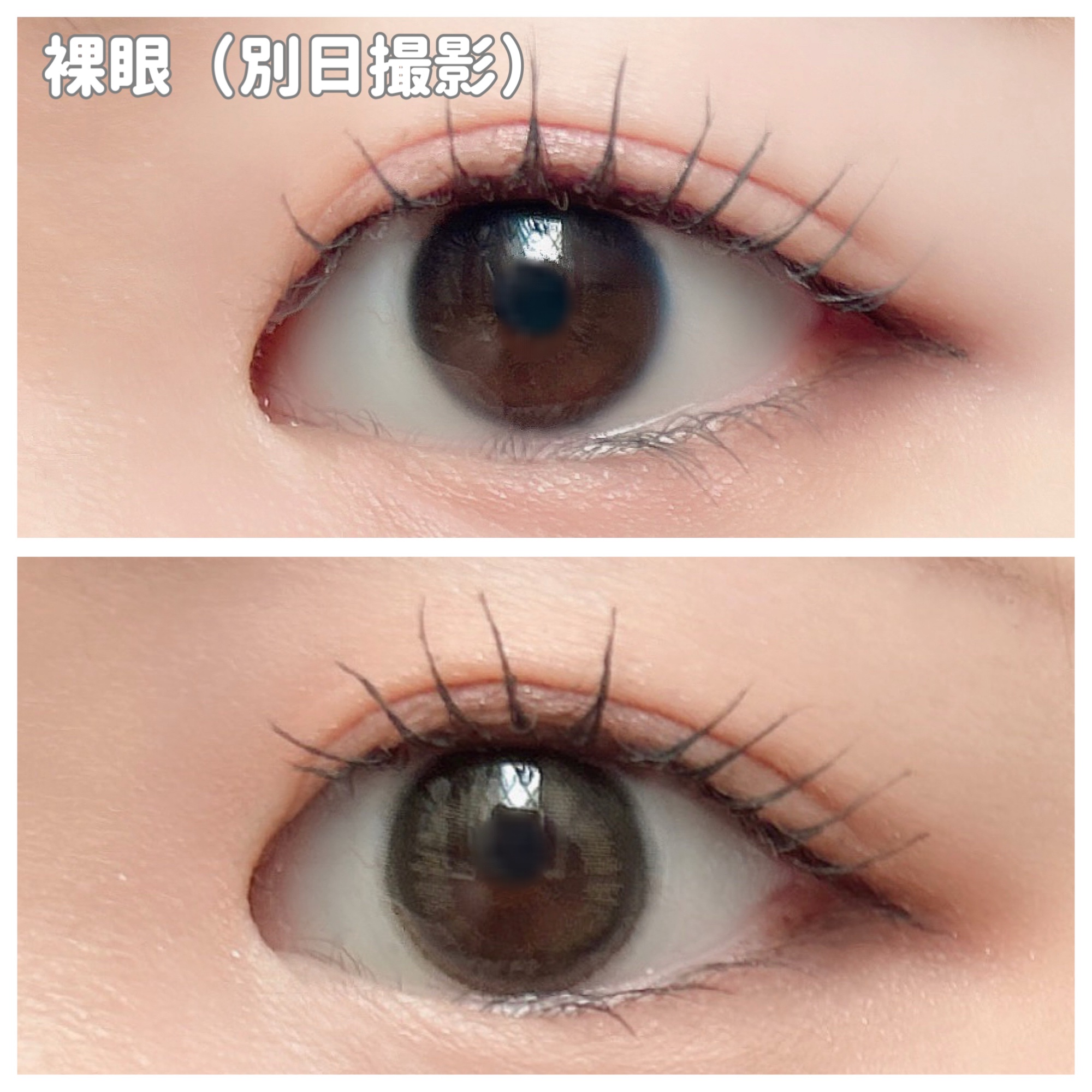 feliamo 1day/feliamo/ワンデー（１DAY）カラコンを使ったクチコミ（3枚目）