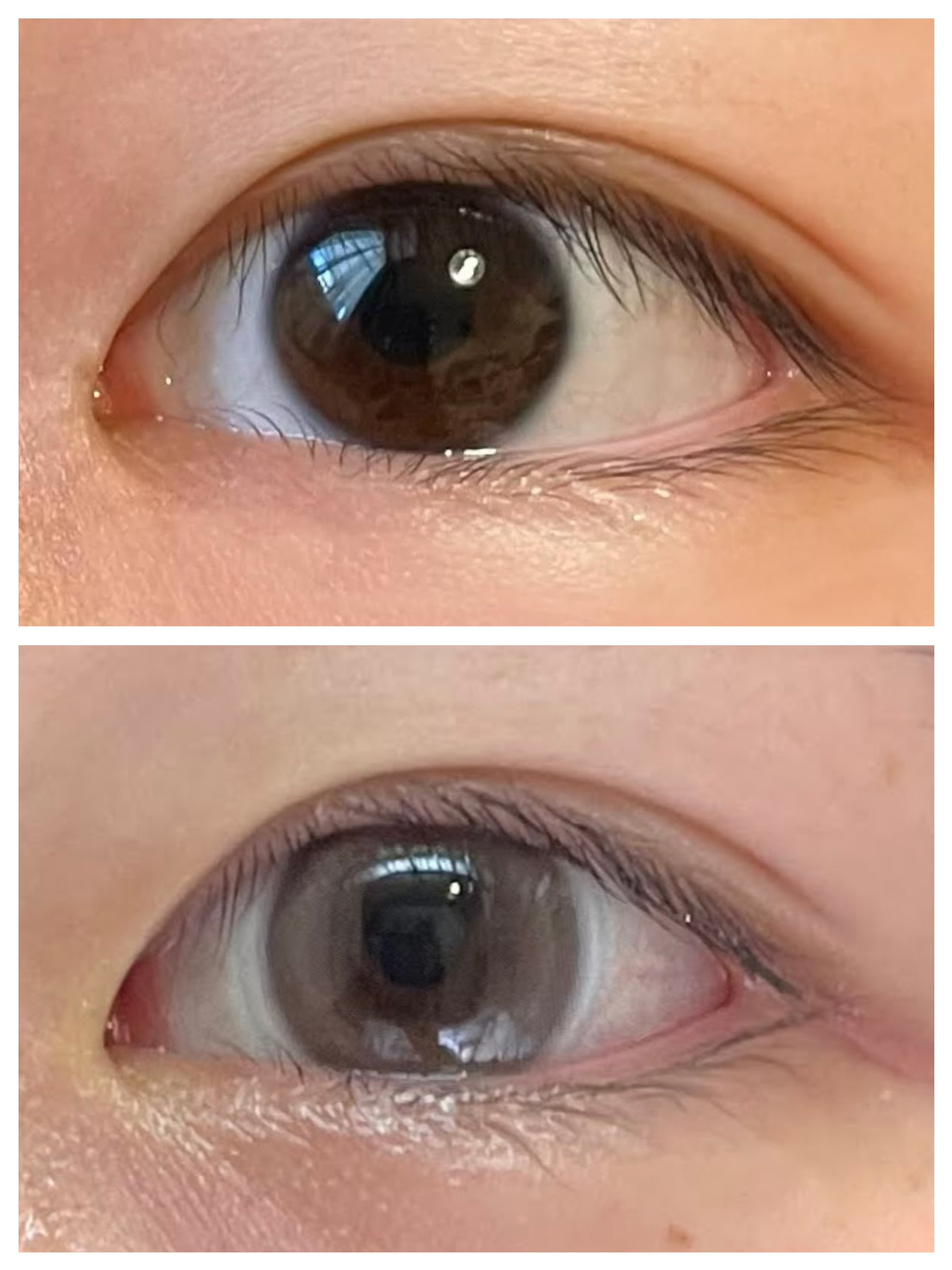 melotte 1day ダーリンフィグ/melotte/ワンデー（１DAY）カラコンを使ったクチコミ（2枚目）