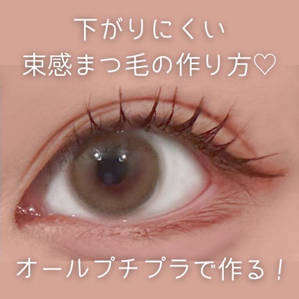 アイラッシュカーラー /SHISEIDO/ビューラーを使ったクチコミ(1枚目)