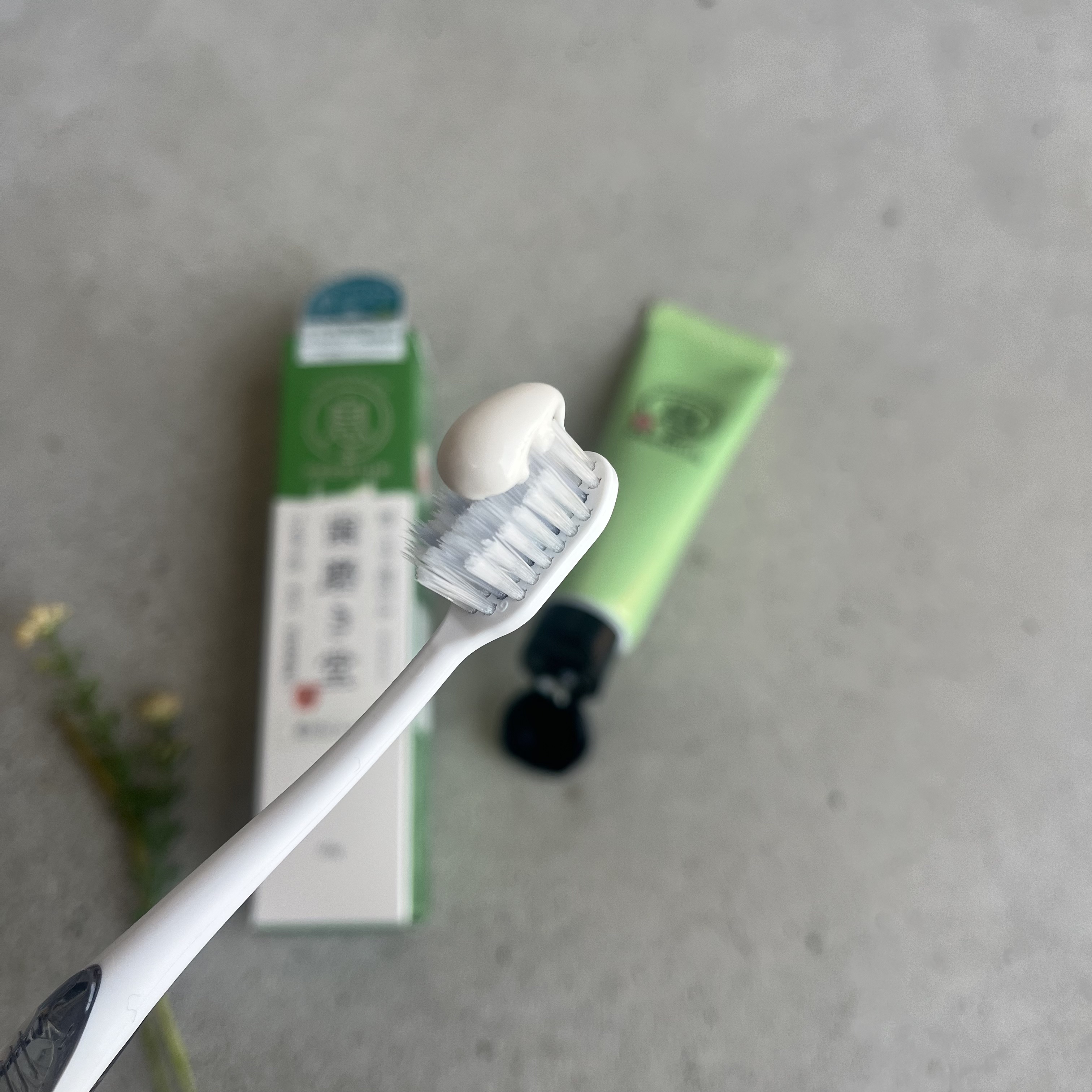 薬用フレッシュペースト【医薬部外品】/歯磨き堂/歯磨き粉を使ったクチコミ（2枚目）