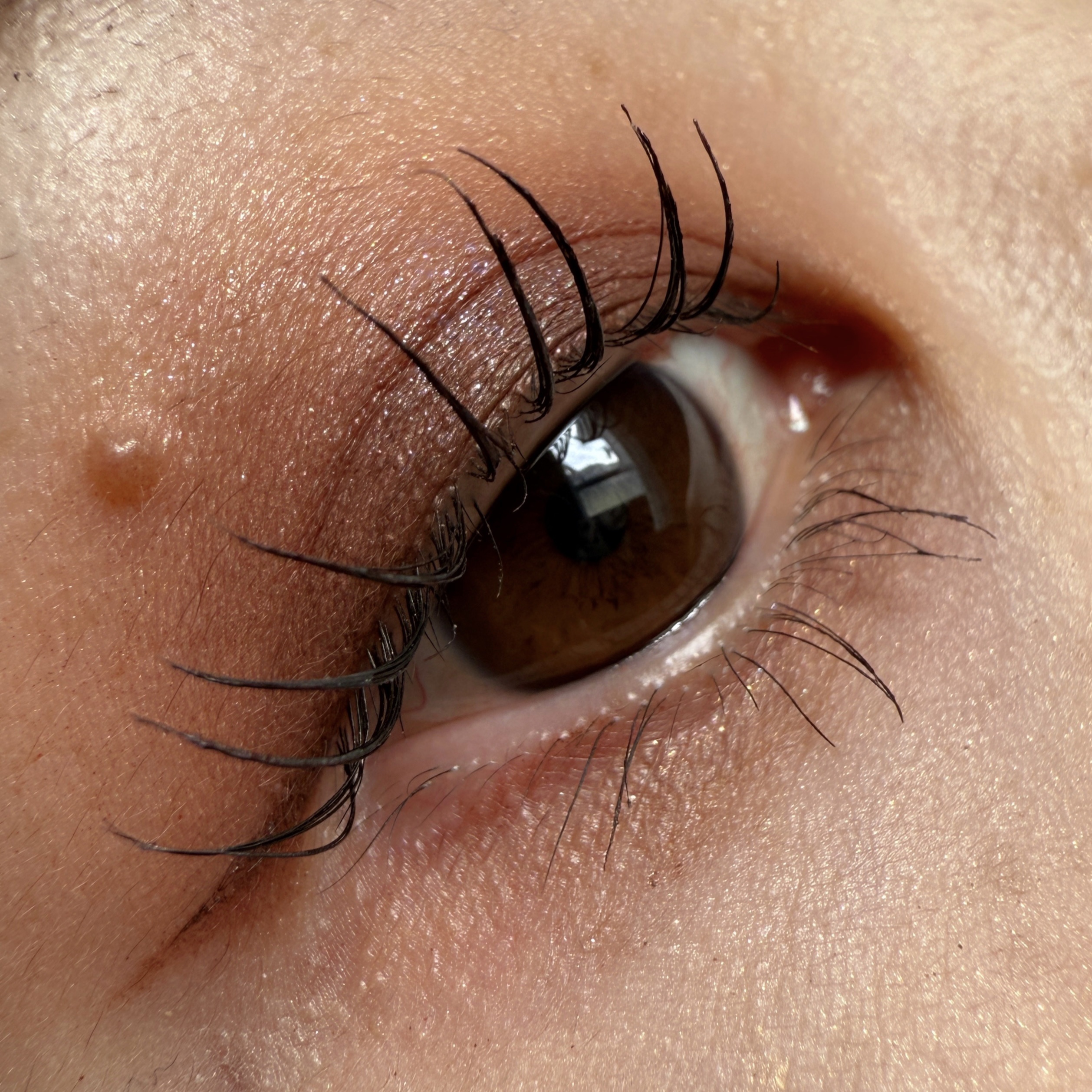 ダイメンションズ マルチエフェクト アイシャドウ/PRADA BEAUTY/アイシャドウパレットを使ったクチコミ（1枚目）