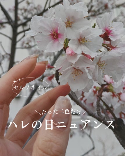 スキンカラージェル/LURRIR /ジェルネイルを使ったクチコミ(1枚目)