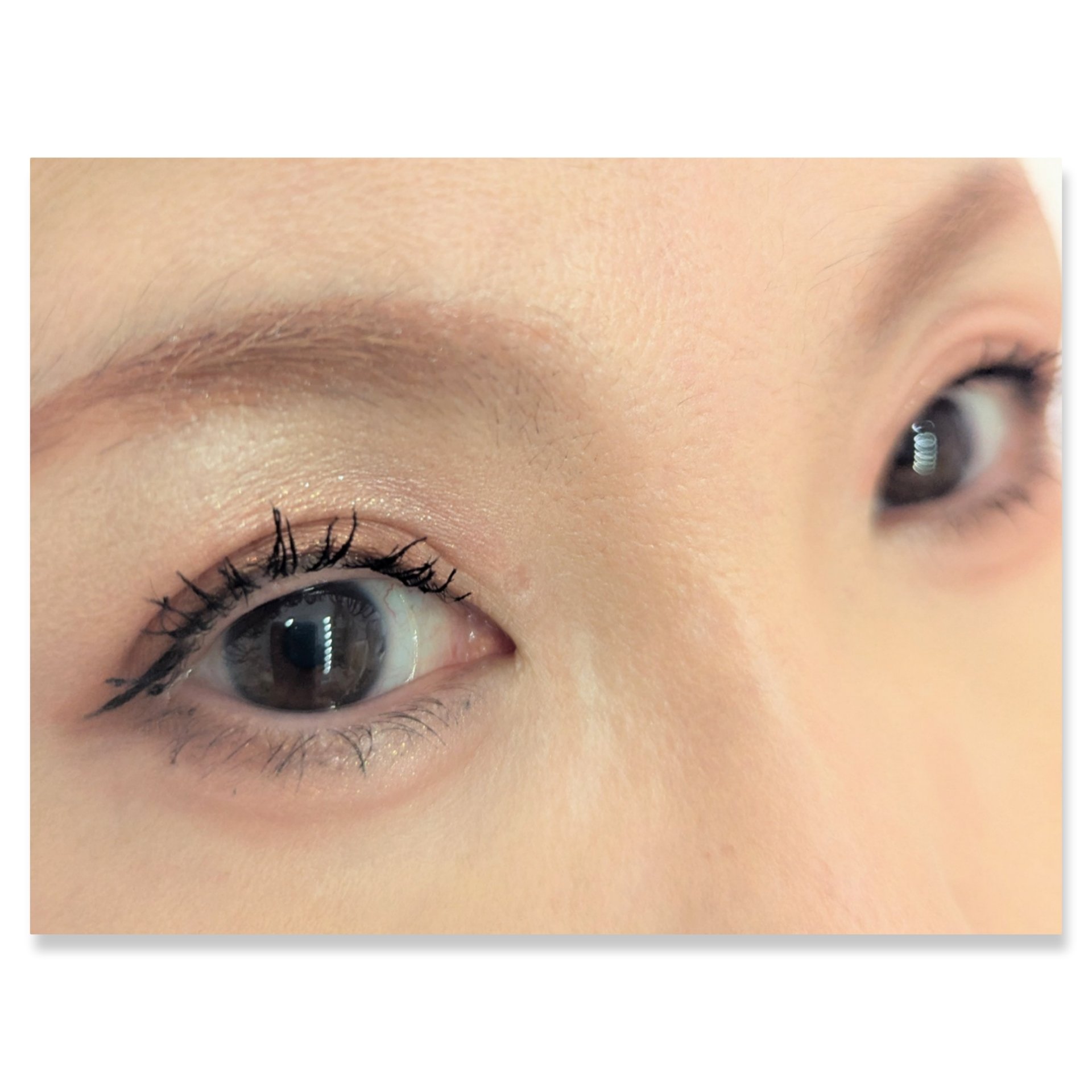 ロイヤルヴィンテージ アイズ/リンメル ロンドン/アイシャドウパレットを使ったクチコミ（2枚目）