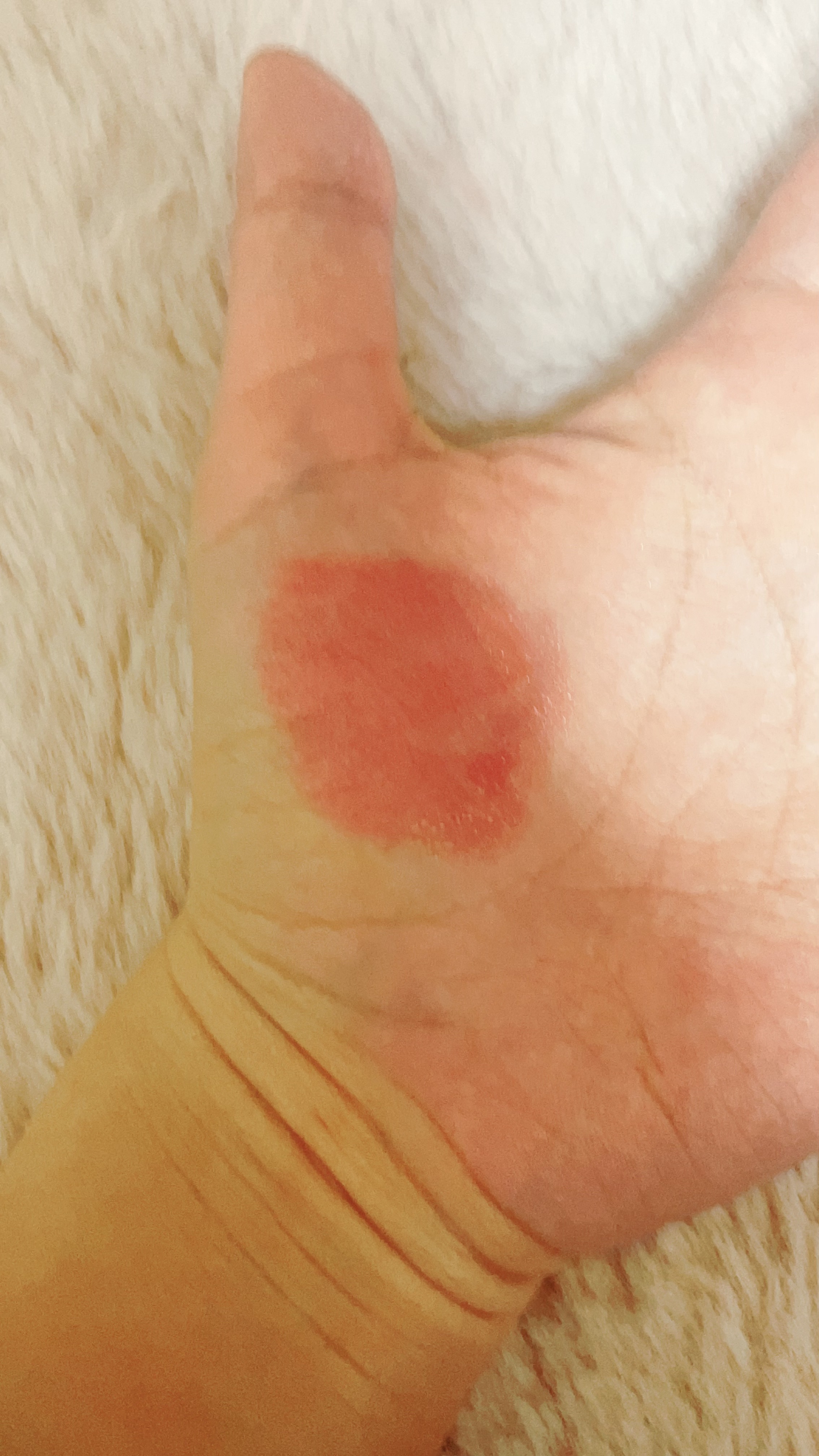 ラスティンググロスリップ/CEZANNE/口紅を使ったクチコミ（1枚目）