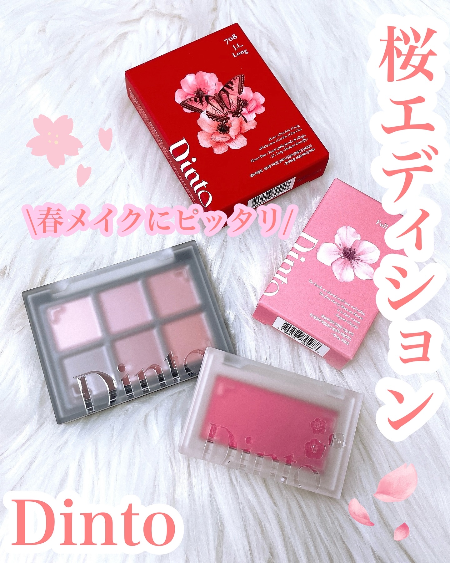 ブラーフィニシュシャドウパレット/Dinto/アイシャドウパレットを使ったクチコミ（1枚目）