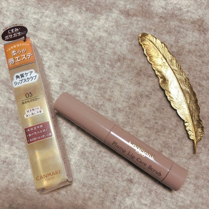 プランプリップケアスクラブ/キャンメイク/リップスクラブを使ったクチコミ(1枚目)