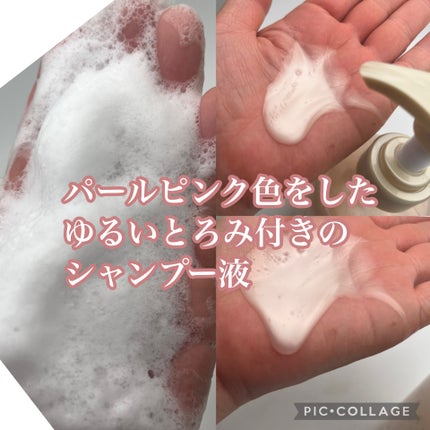 シャンプー/トリートメント パールシャイン(PS)/CLAYGE/市販シャンプーを使ったクチコミ(4枚目)