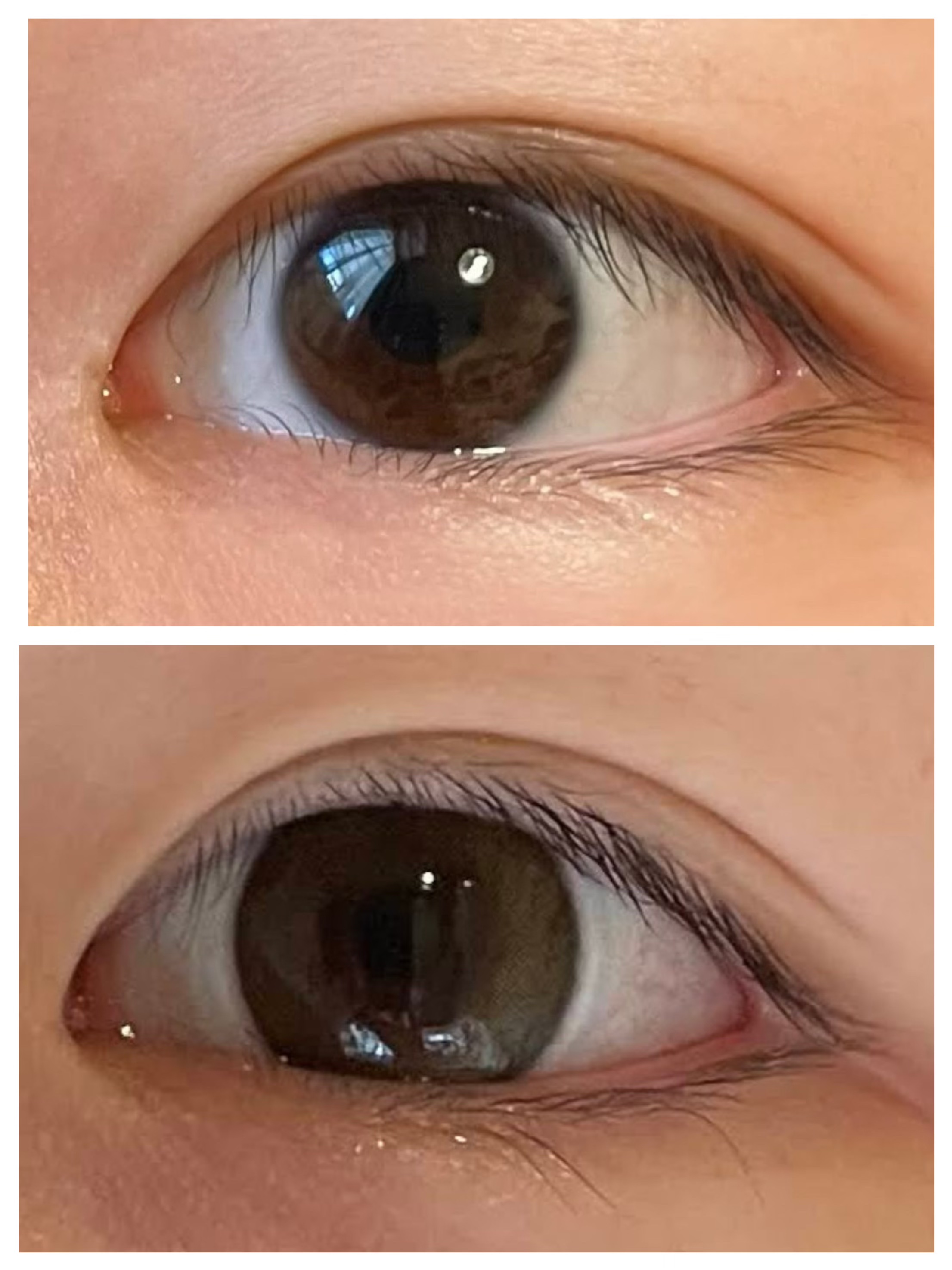 melotte 1day うるみドロップ/melotte/ワンデー（１DAY）カラコンを使ったクチコミ（2枚目）