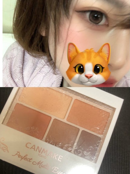 パーフェクトマルチアイズ/キャンメイク/アイシャドウパレットを使ったクチコミ(1枚目)