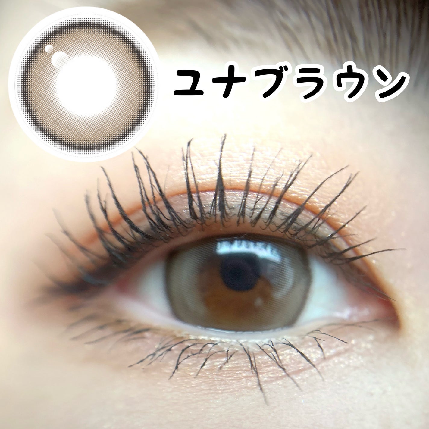 Mechu Mechu/Mechu Mechu /ワンデー(1DAY)カラコンを使ったクチコミ(3枚目)