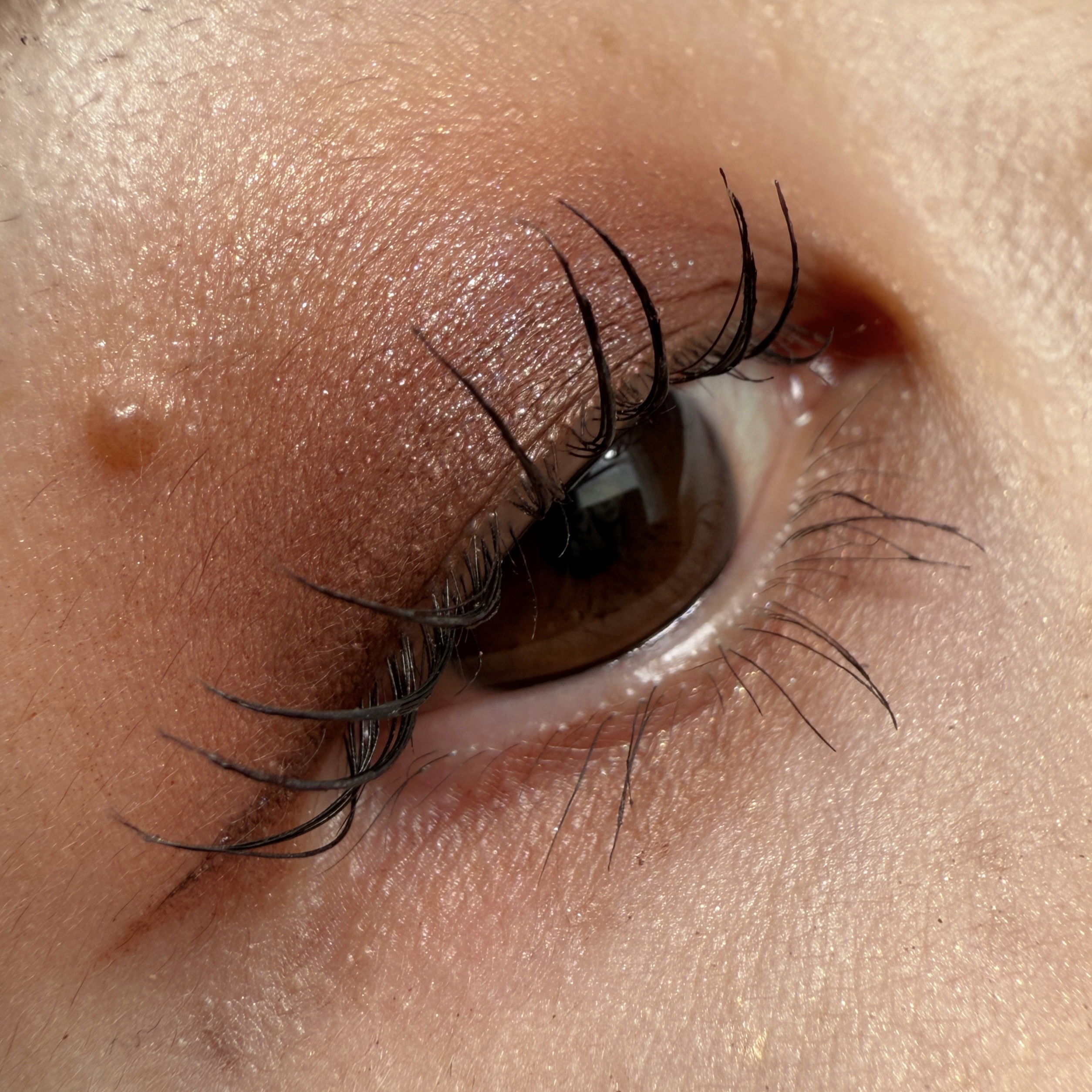 ダイメンションズ マルチエフェクト アイシャドウ/PRADA BEAUTY/アイシャドウパレットを使ったクチコミ（2枚目）