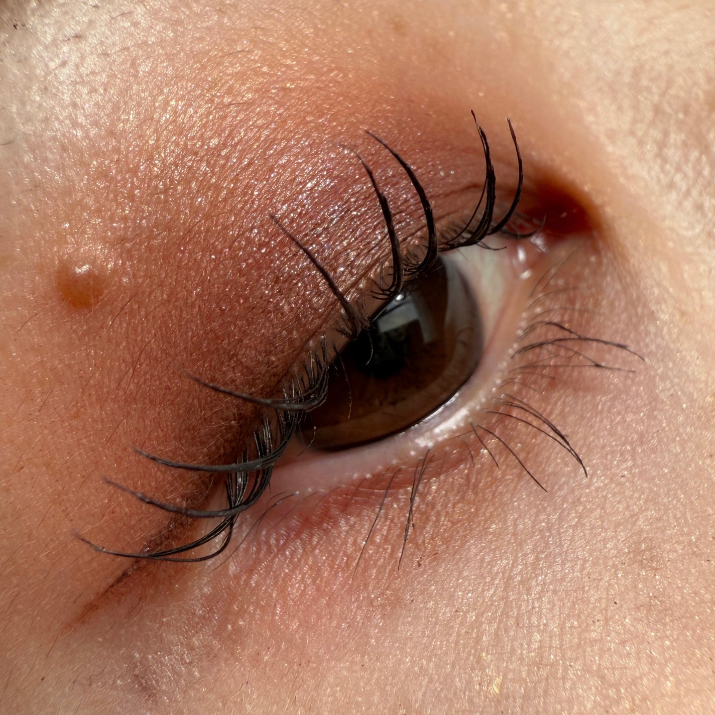 ダイメンションズ マルチエフェクト アイシャドウ/PRADA BEAUTY/アイシャドウパレットを使ったクチコミ(2枚目)