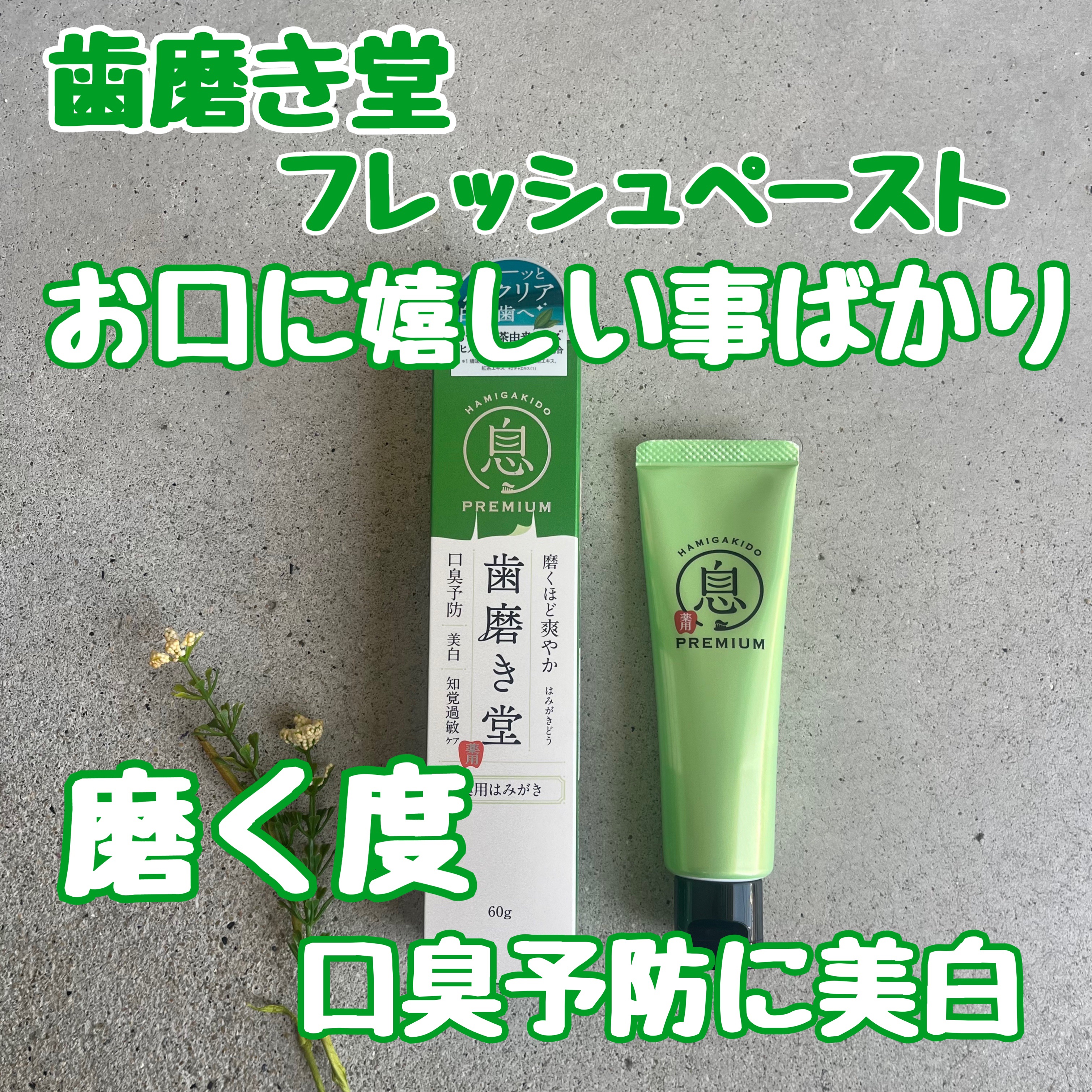 薬用フレッシュペースト【医薬部外品】/歯磨き堂/歯磨き粉を使ったクチコミ（1枚目）