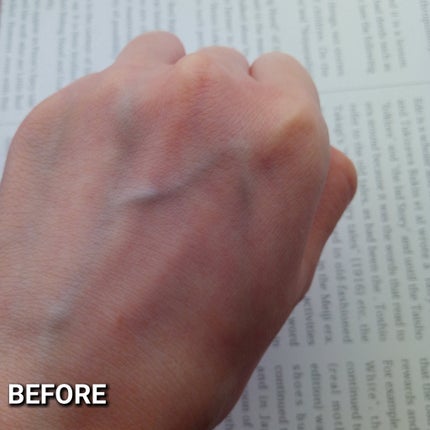 プロテクティング プライマー/PAUL & JOE BEAUTE/化粧下地を使ったクチコミ(6枚目)