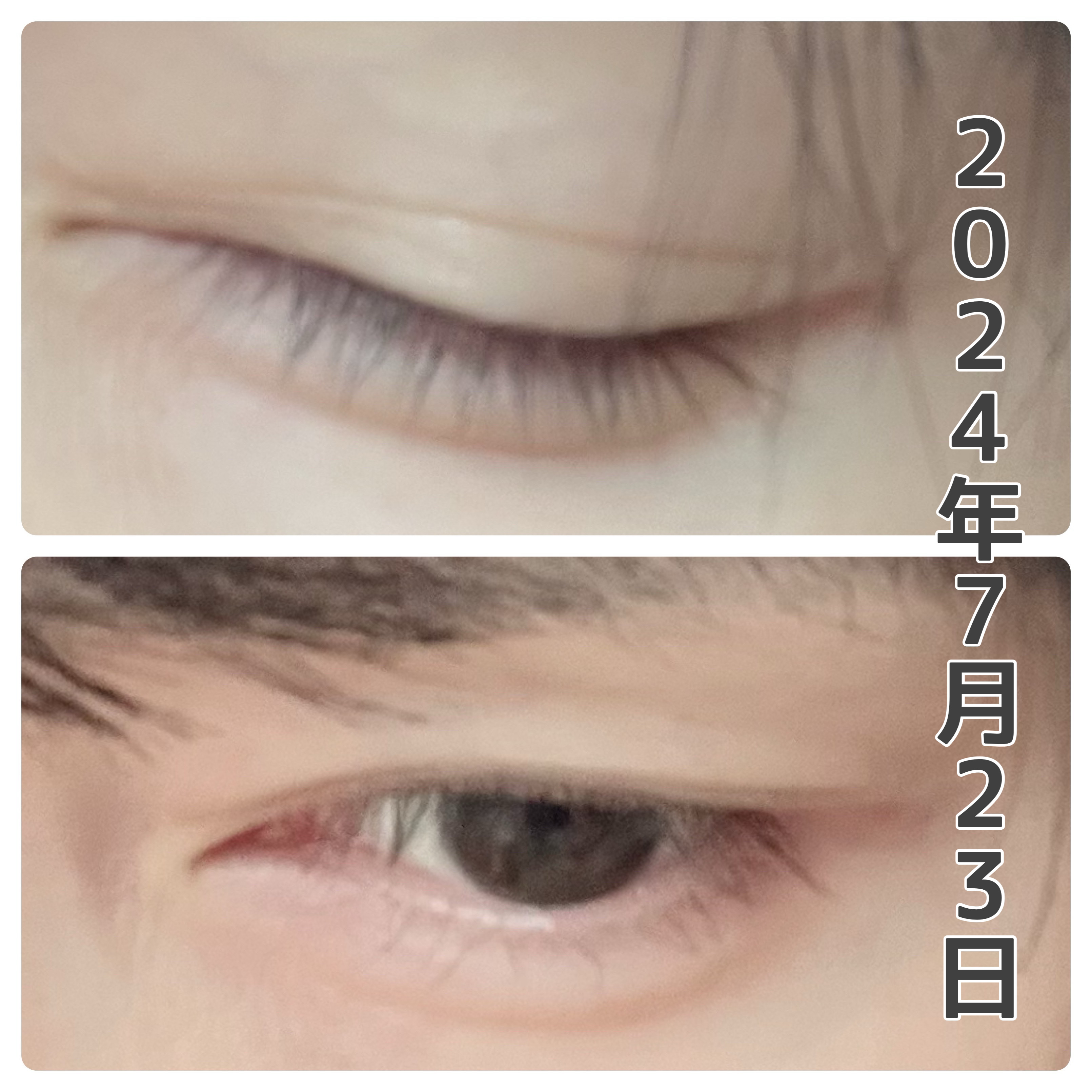 ラッシュジェリードロップ　ＥＸ/MAJOLICA MAJORCA/まつげ美容液を使ったクチコミ（2枚目）