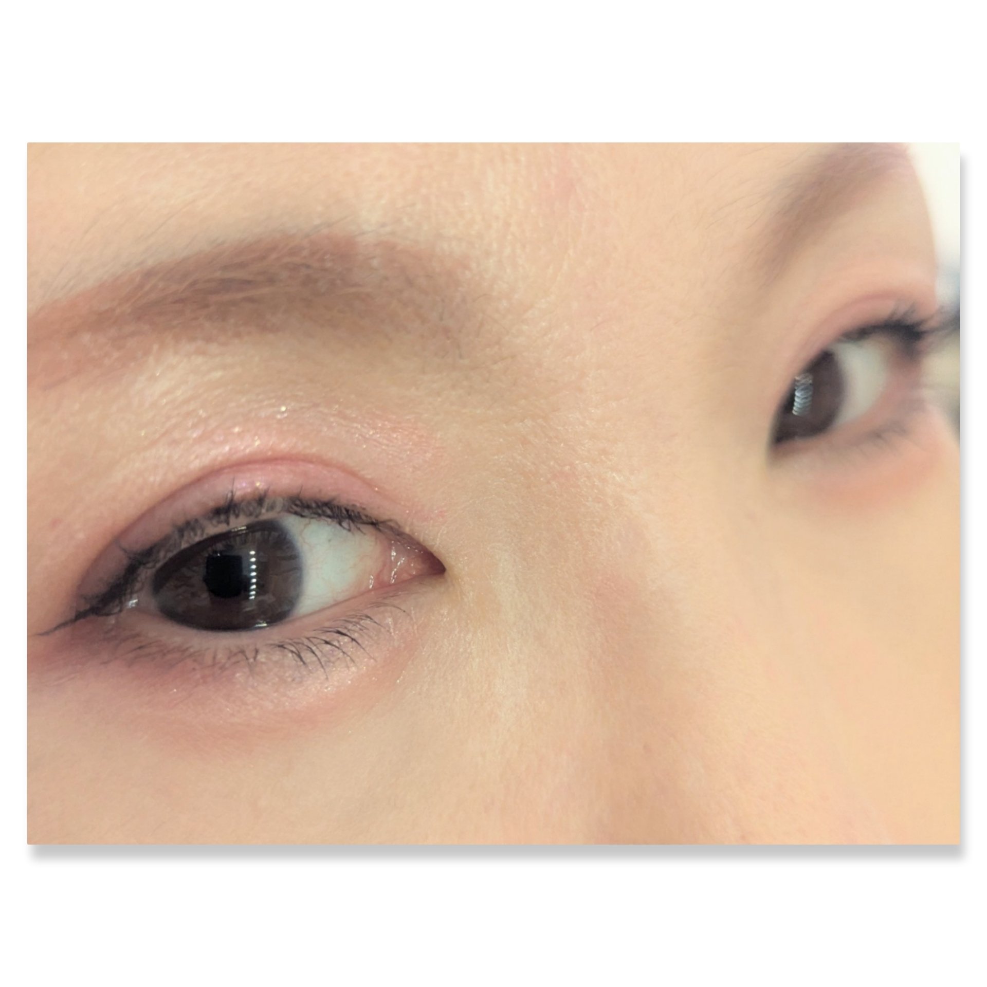 プティパレットアイズ/キャンメイク/パウダーアイシャドウを使ったクチコミ（2枚目）