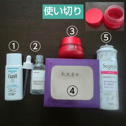 セグレタ髪を育むスプレー/セグレタ/頭皮ローションを使ったクチコミ(1枚目)