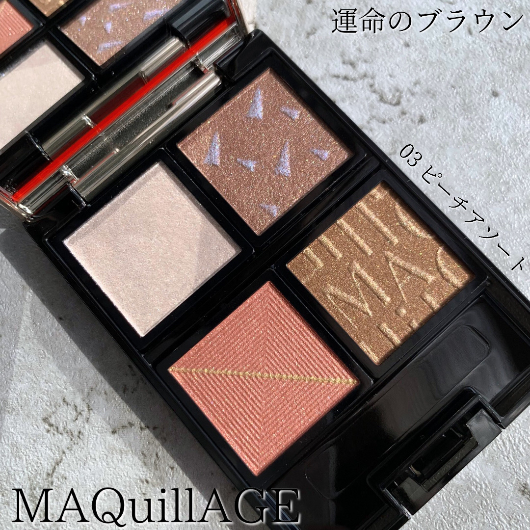 チップ＆ブラシ Ｎ/マキアージュ/メイクブラシを使ったクチコミ（1枚目）