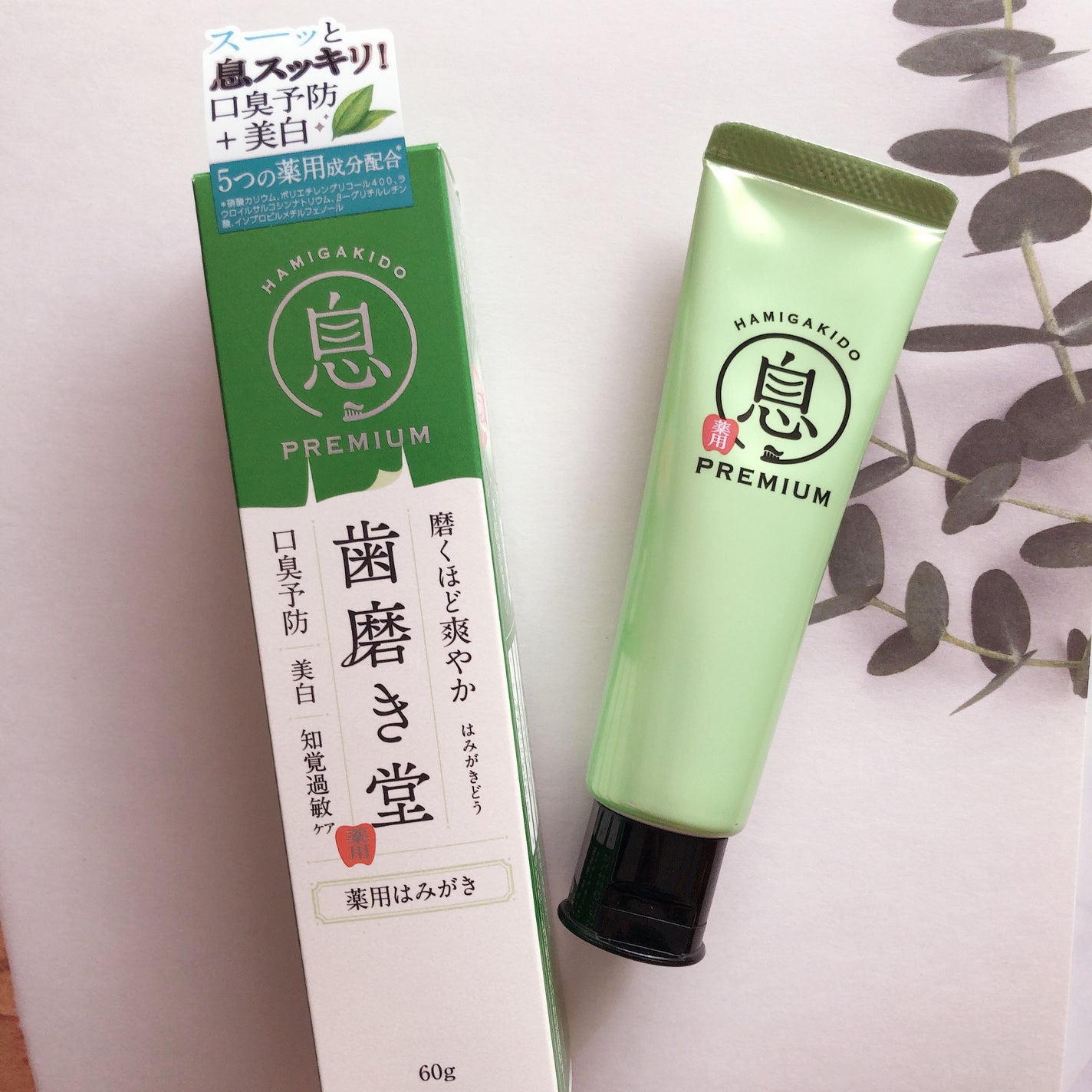 薬用フレッシュペースト【医薬部外品】/歯磨き堂/歯磨き粉を使ったクチコミ(1枚目)