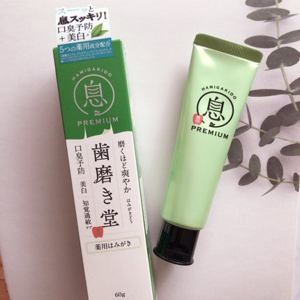 薬用フレッシュペースト【医薬部外品】/歯磨き堂/歯磨き粉を使ったクチコミ(1枚目)