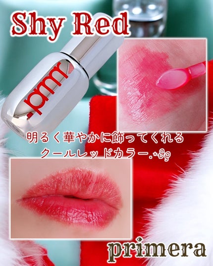 ユース ラディアンス ビタチノール セラム/primera/美容液を使ったクチコミ(4枚目)